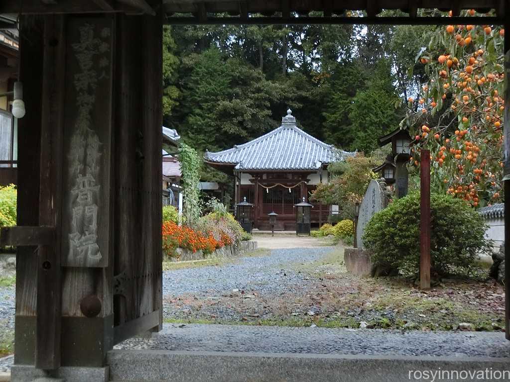 幡降野営場　バーベキュー　普門院